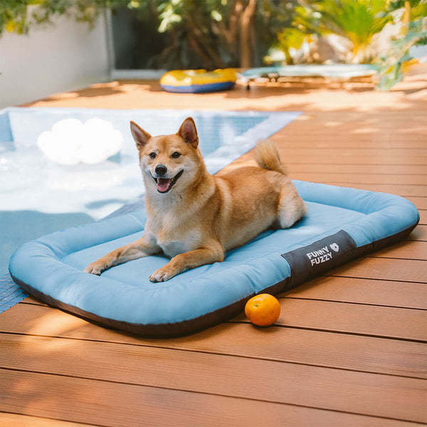 Wasserdicht Kratzfeste Farbblockierte Orthopädische Außen Hundematte - Trek Lounge