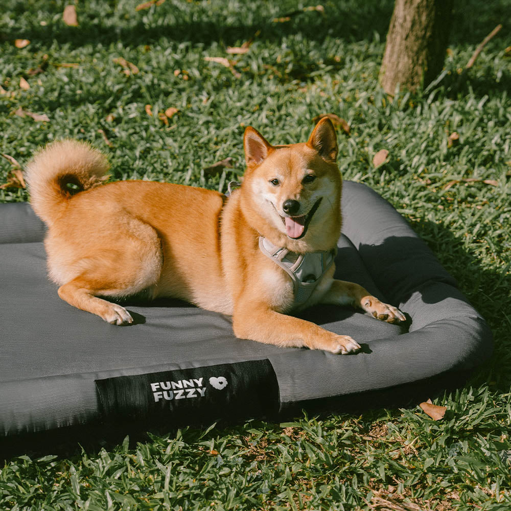 Wasserdicht Kratzfeste Farbblockierte Orthopädische Außen Hundematte - Trek Lounge