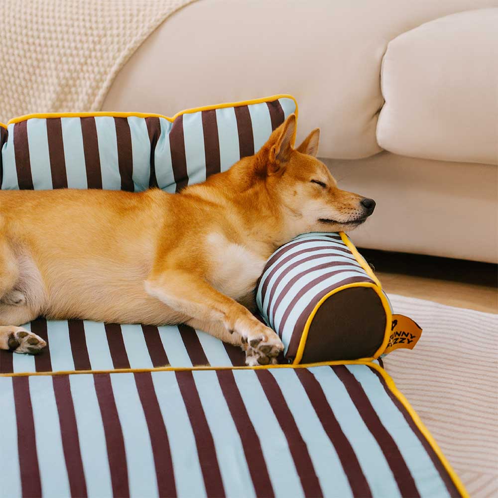 Modisches Gestreiftes Wasserabweisendes Faltbares Hundesofabett - Sunny Siesta