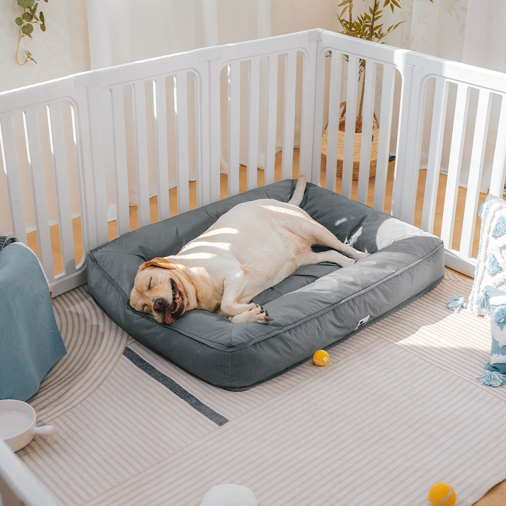 Vollständig Orthopädisches Wasserabweisendes Hundebett mit Rundum-Unterstützung für Große Hunde
