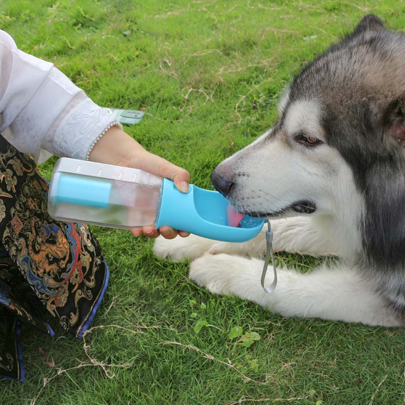3-in-1-Multifunktionen-Wasserflasche für den Hundespaziergang