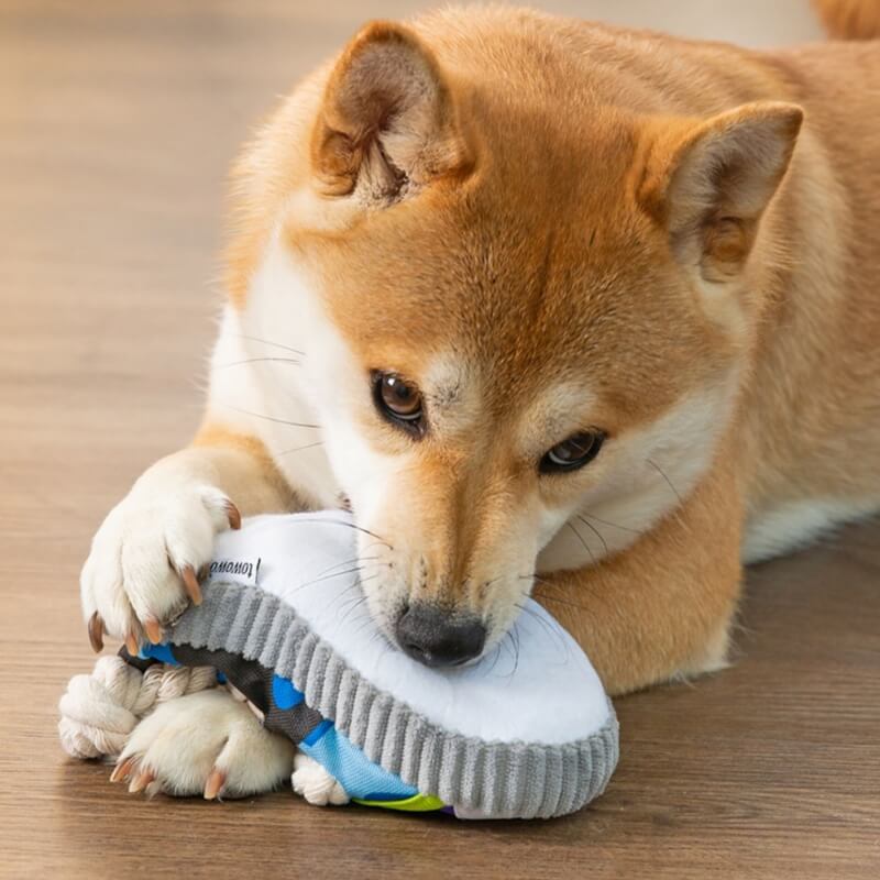 Beißspielzeug für Hunde in Schuhform aus Baumwollseil